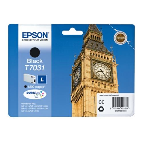 Epson tisková kazeta černá (C13T70314010 / T7031)